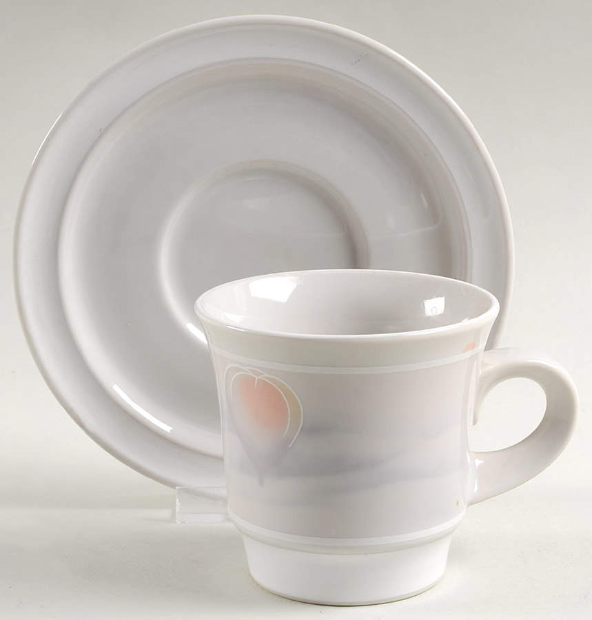 Free Flight Flat Cup & Saucer Set by Noritake-1