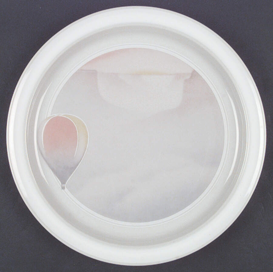 Free Flight Dinner Plate by Noritake-1