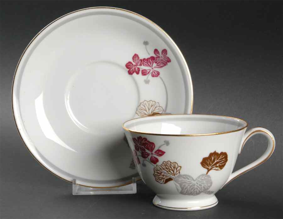 Geranium Footed Cup & Saucer Set by Noritake-1