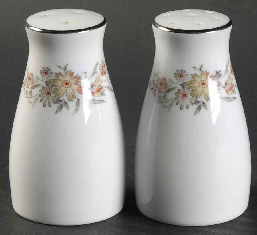 Gina Salt & Pepper Set by Noritake-1