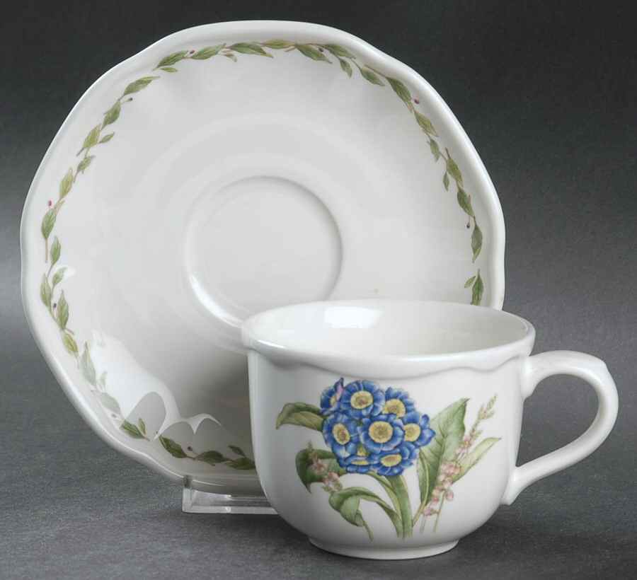 Gourmet Garden Flat Cup & Saucer Set by Noritake-1