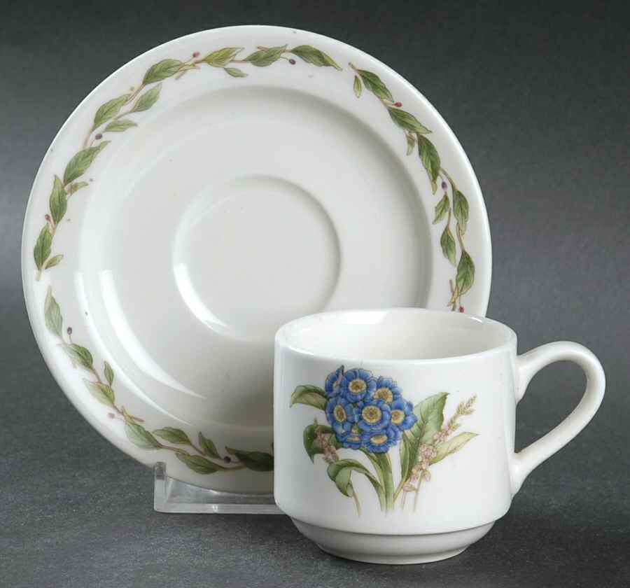 Gourmet Garden Flat Demitasse Cup & Saucer Set by Noritake-1