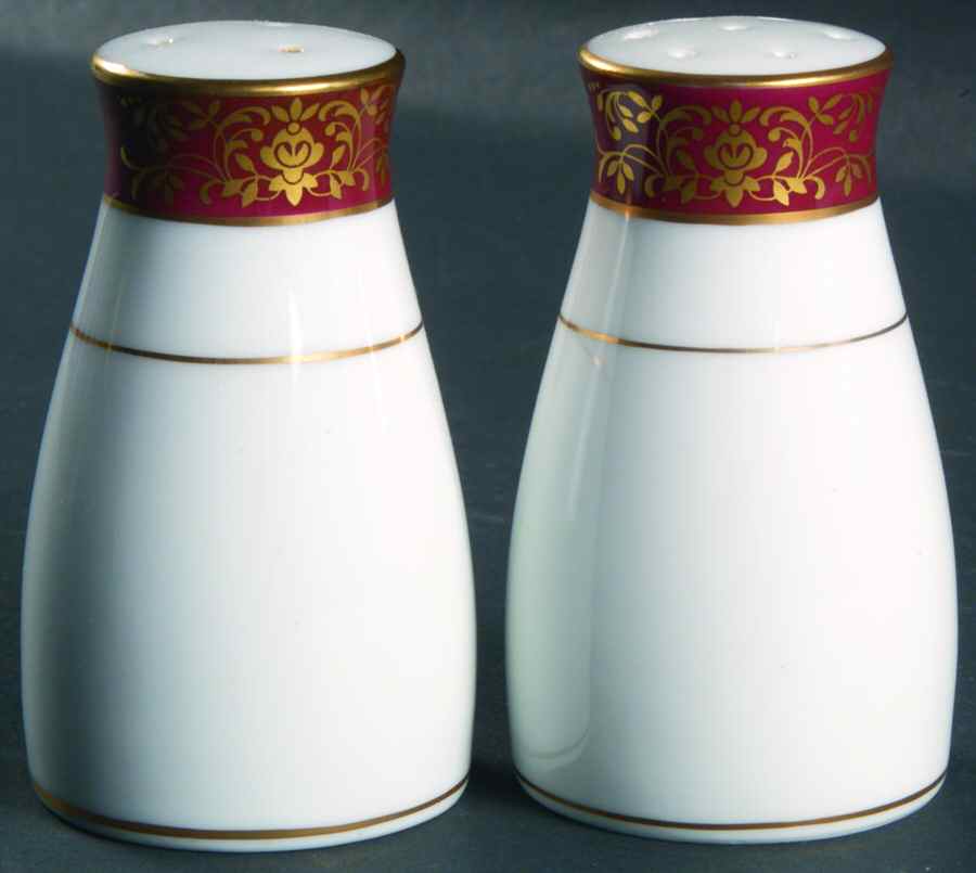 Goldmere Salt & Pepper Set by Noritake-1