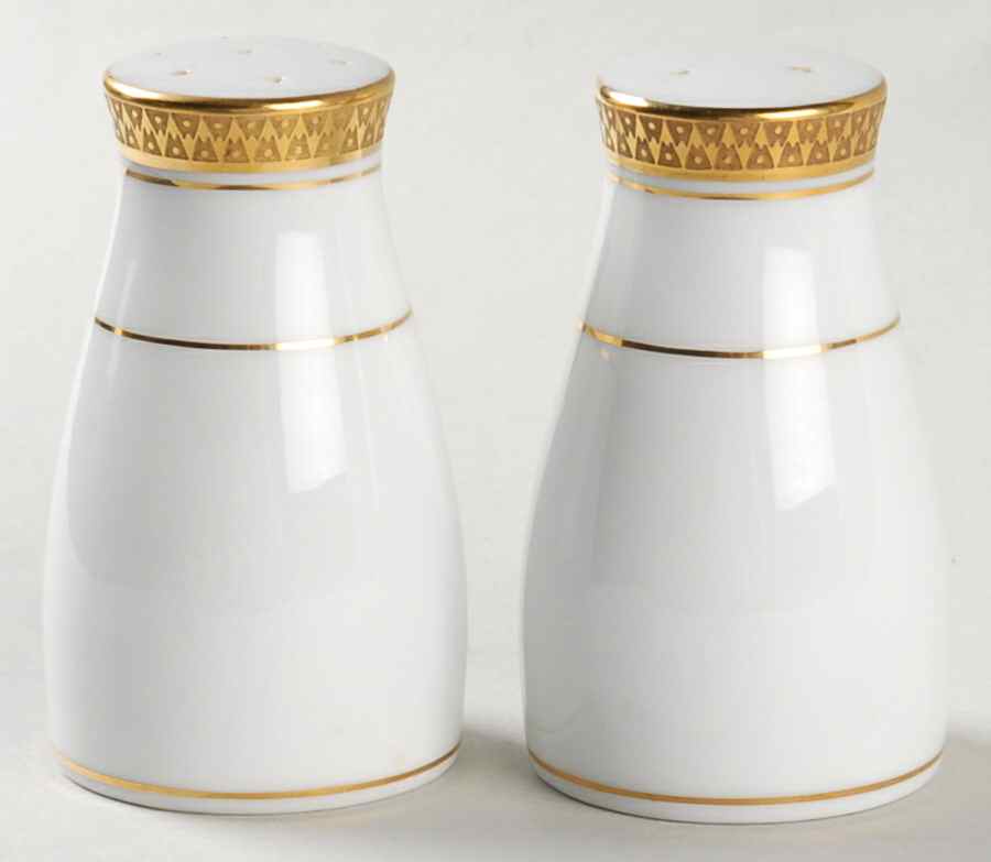 Goldridge Salt & Pepper Set by Noritake-1