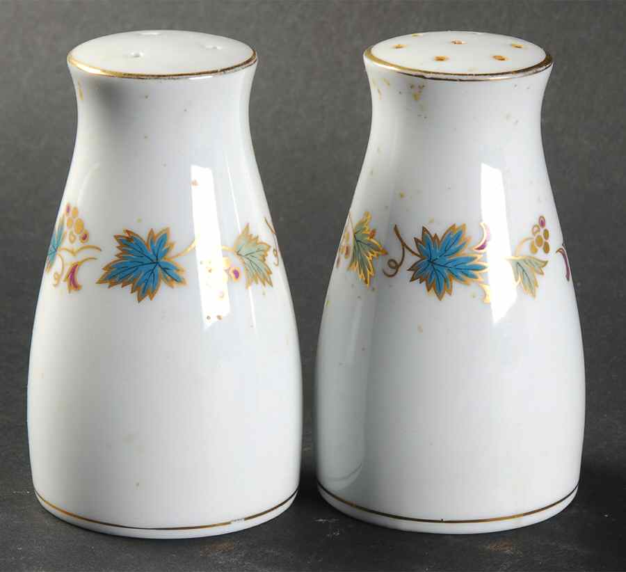 Goldvine Salt & Pepper Set by Noritake-1