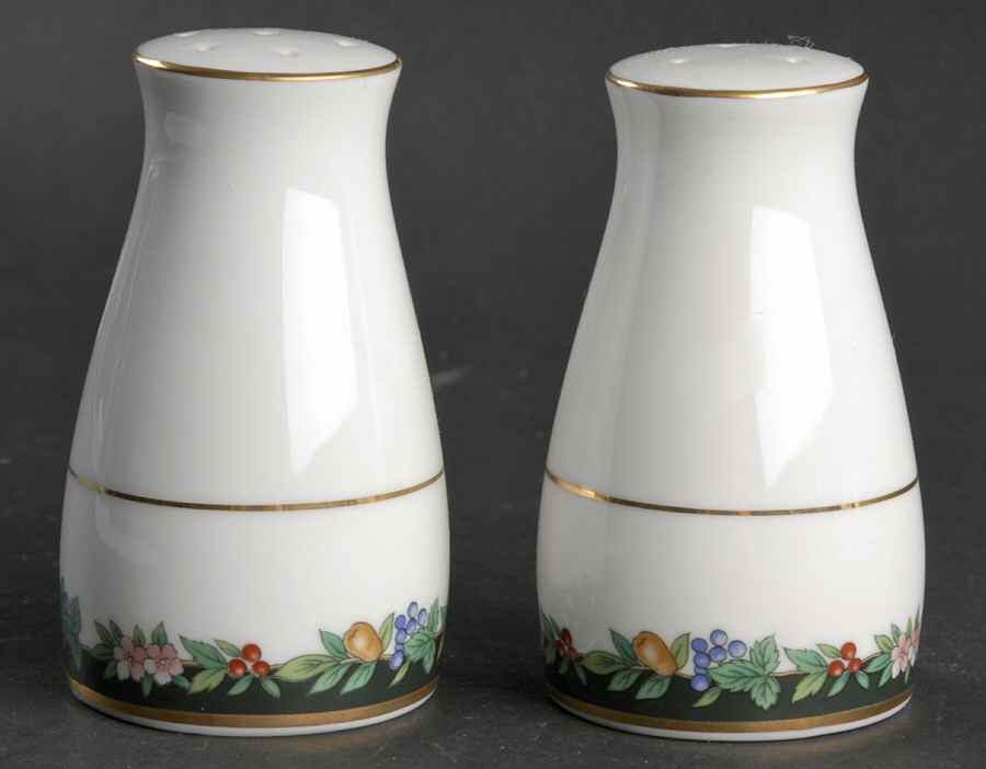 Golden Orchard Salt & Pepper Set by Noritake-1