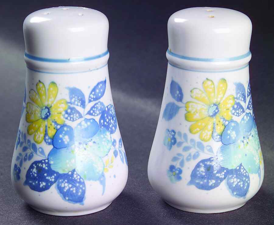 Good Times Salt & Pepper Set by Noritake-1