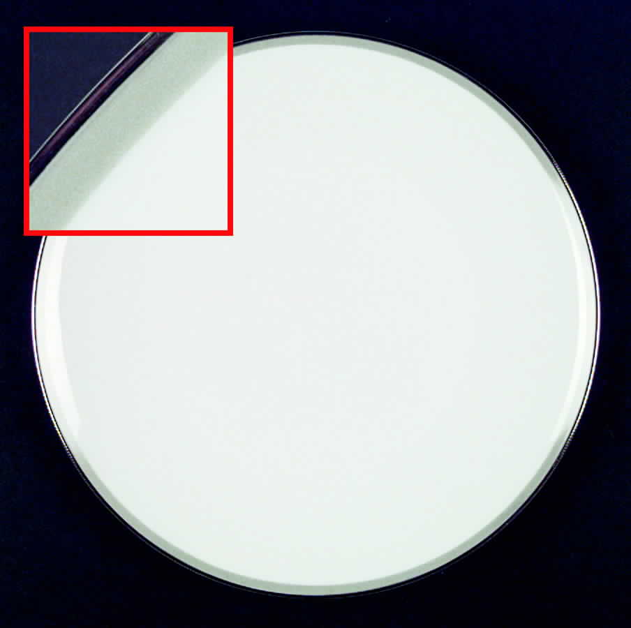 Greentone Dinner Plate by Noritake-1