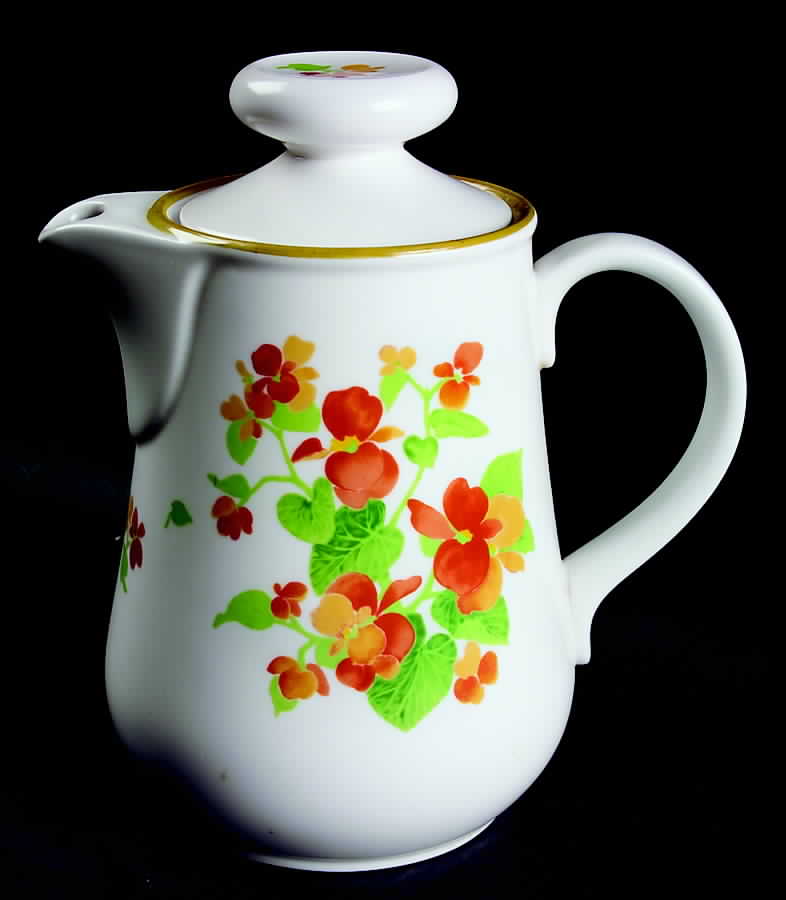 Happy Days Coffee Pot & Lid by Noritake-1