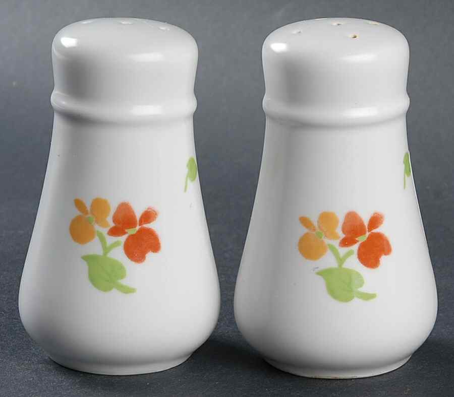 Happy Days Salt & Pepper Set by Noritake-1