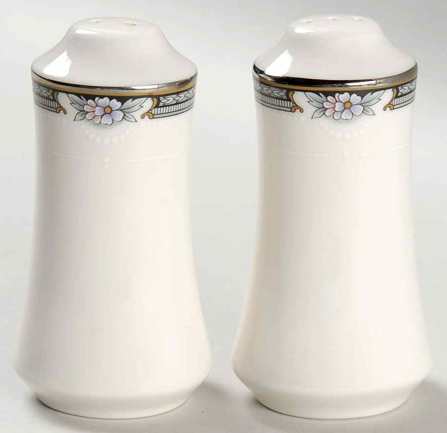 Halifax Salt & Pepper Set by Noritake-1