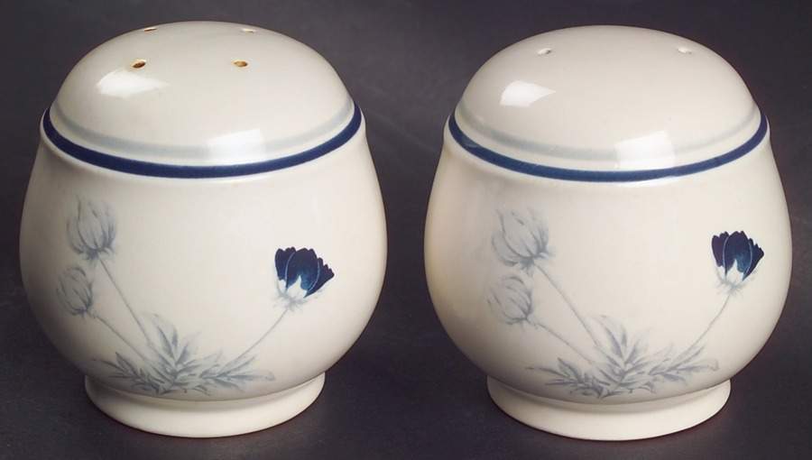 Harlequin Salt & Pepper Set by Noritake-1
