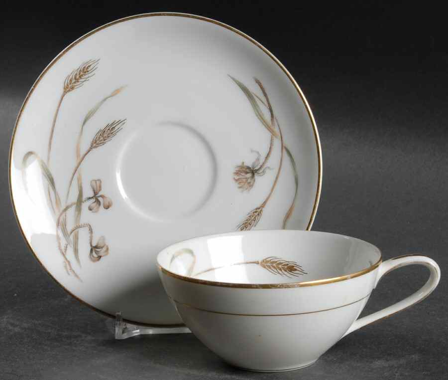 Harvester Flat Cup & Saucer Set by Noritake-1
