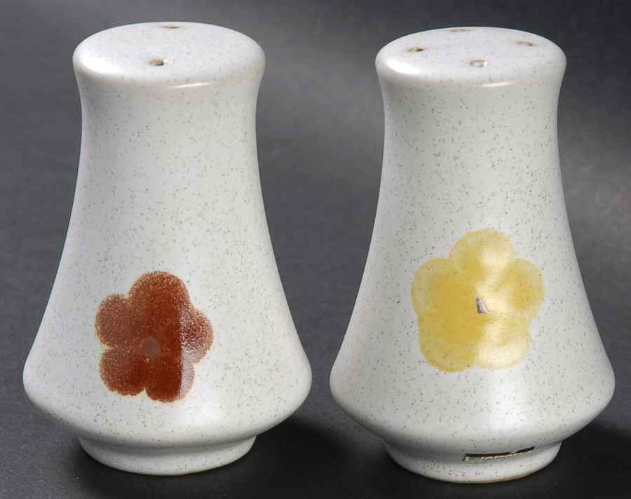 Happy Time Salt & Pepper Set by Noritake-1