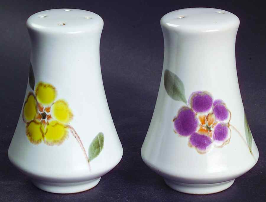 Hello Spring Brown Salt & Pepper Set by Noritake-1