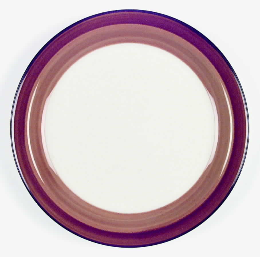 Homestead Dinner Plate by Noritake-1