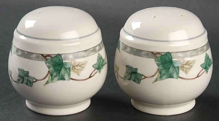 Ivy Lane Salt & Pepper Set by Noritake-1
