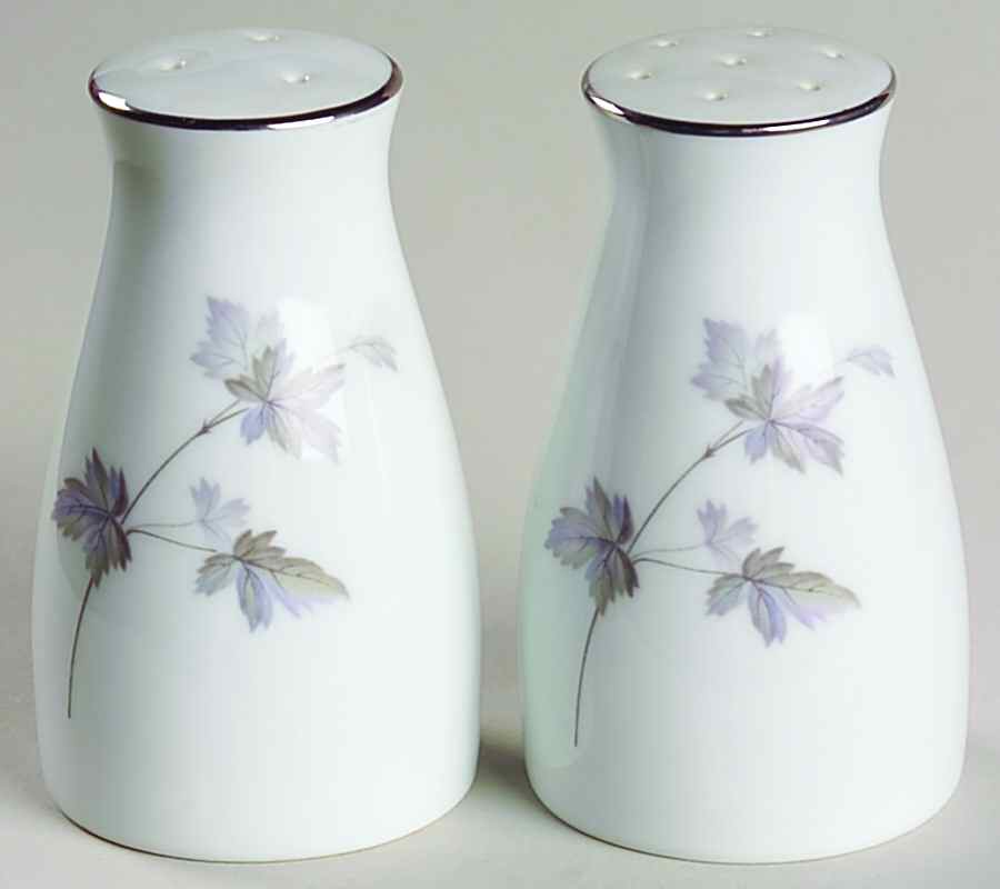 Ivyne Salt & Pepper Set by Noritake-1