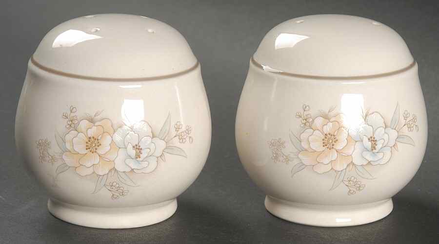 Julie Salt & Pepper Set by Noritake-1