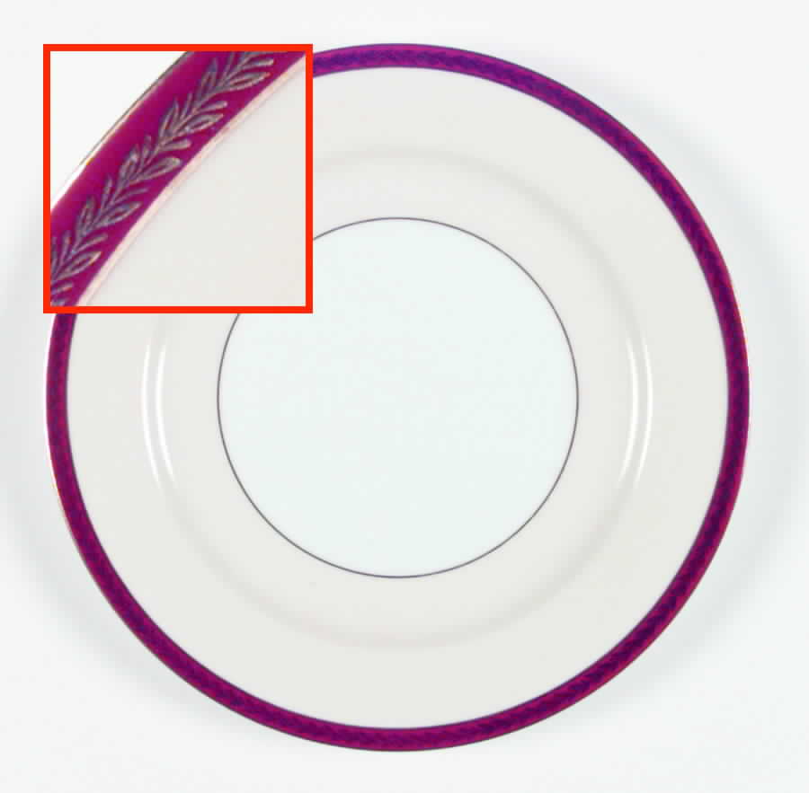 Kawana Dinner Plate by Noritake-1