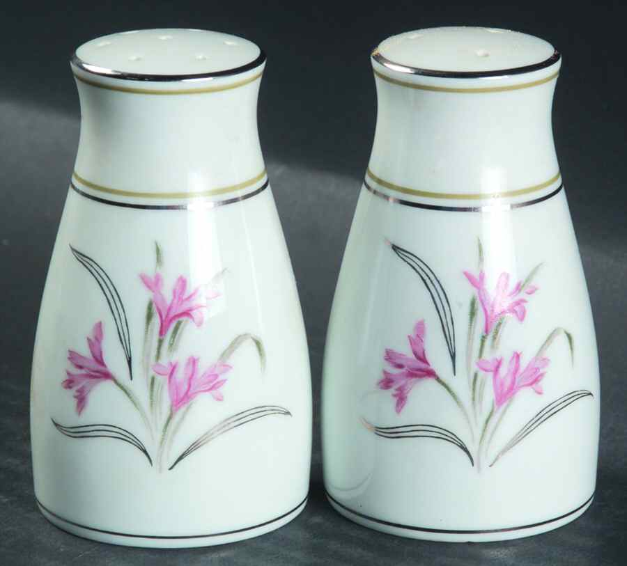 Kent Salt & Pepper Set by Noritake-1