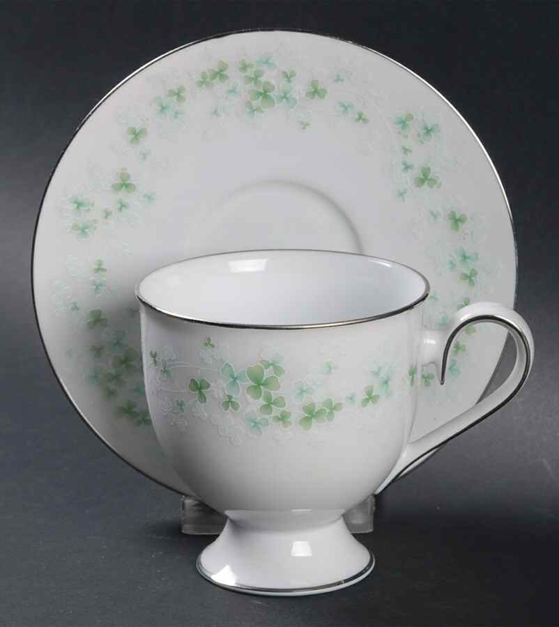 Killarney Footed Cup & Saucer Set by Noritake-1