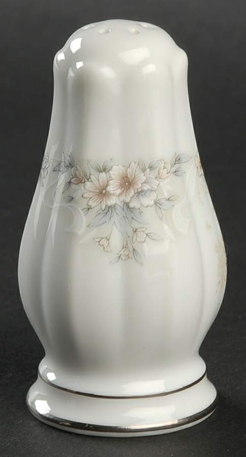 Kirkland Salt Shaker by Noritake-1