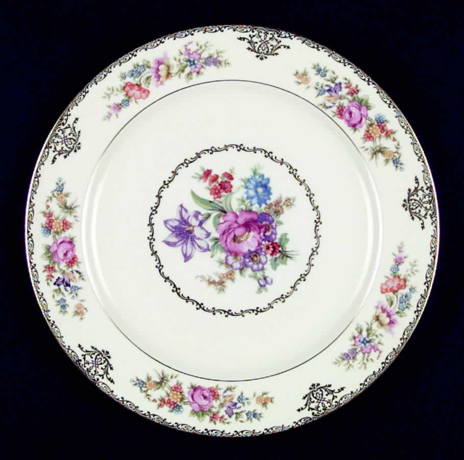 Ladyastor Dinner Plate by Noritake-1
