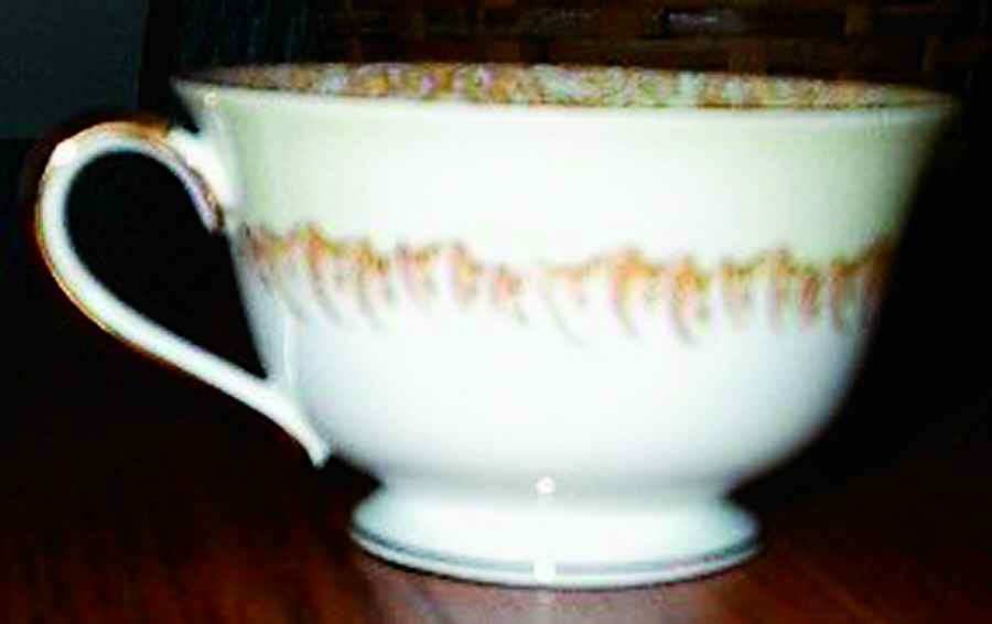 Lavegas Footed Cup by Noritake-1