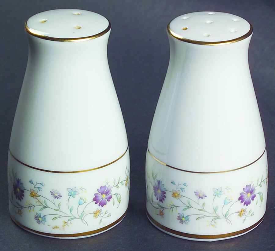 Longwood Salt & Pepper Set by Noritake-1