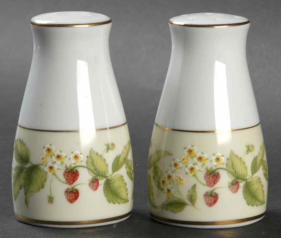 Lynbrook Salt & Pepper Set by Noritake-1