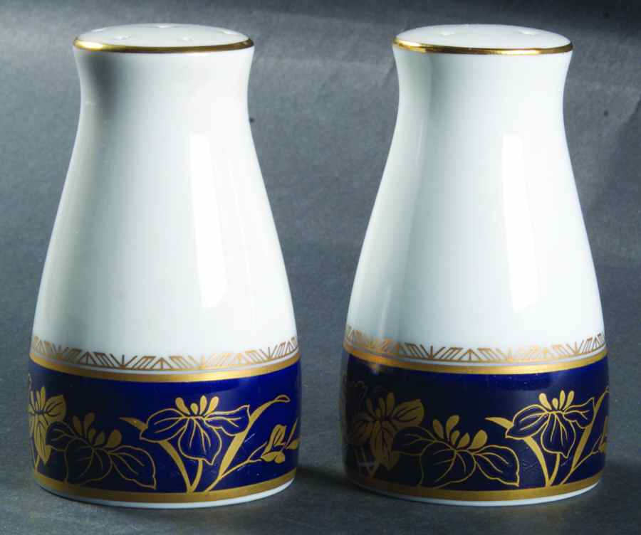 Mandalay Salt & Pepper Set by Noritake-1