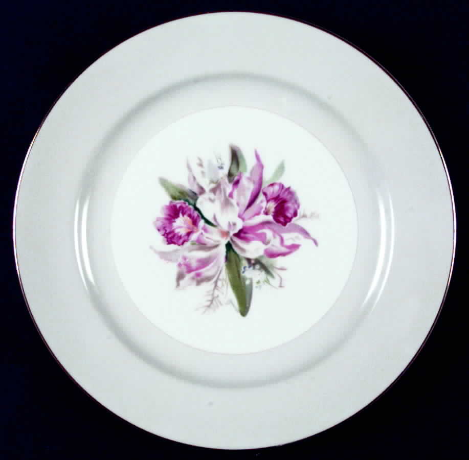 Margarita Dinner Plate by Noritake-1