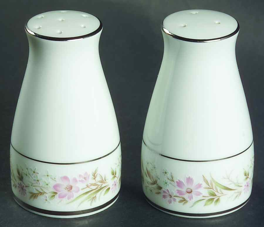 Mayflower Salt & Pepper Set by Noritake-1