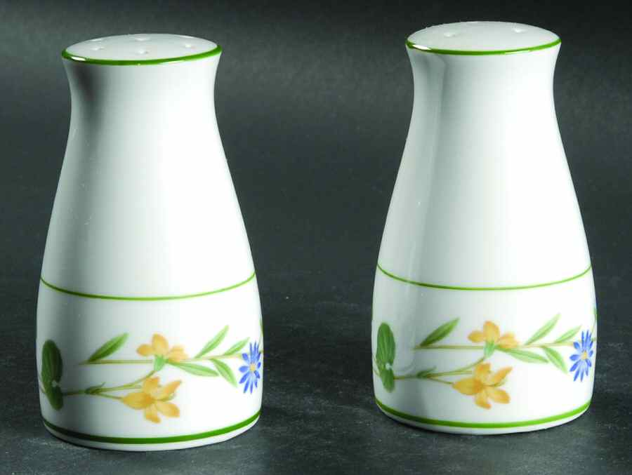 Meadowcrest Salt & Pepper Set by Noritake-1