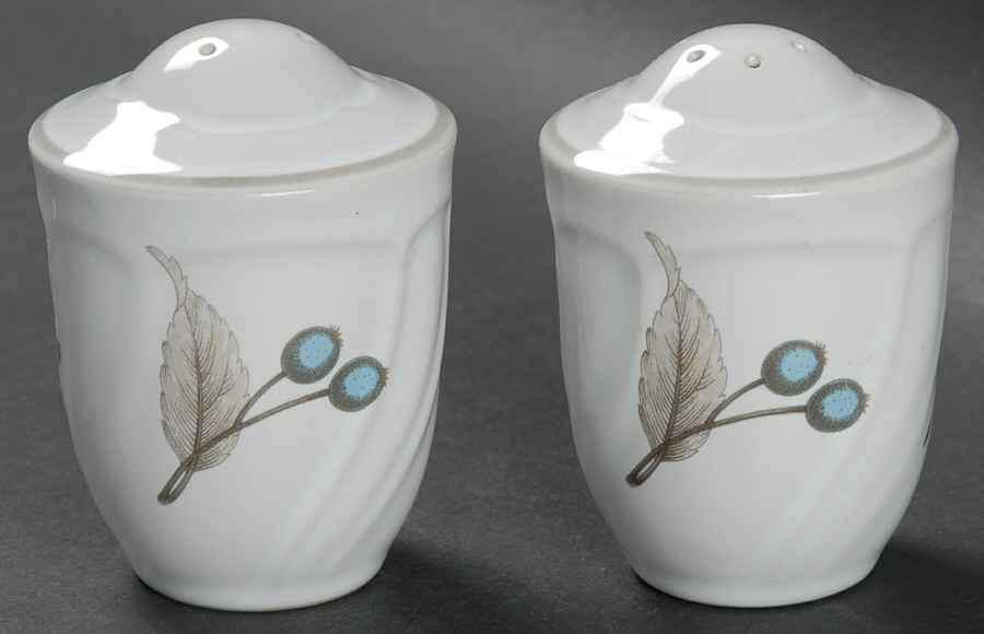 Mendon Salt & Pepper Set by Noritake-1