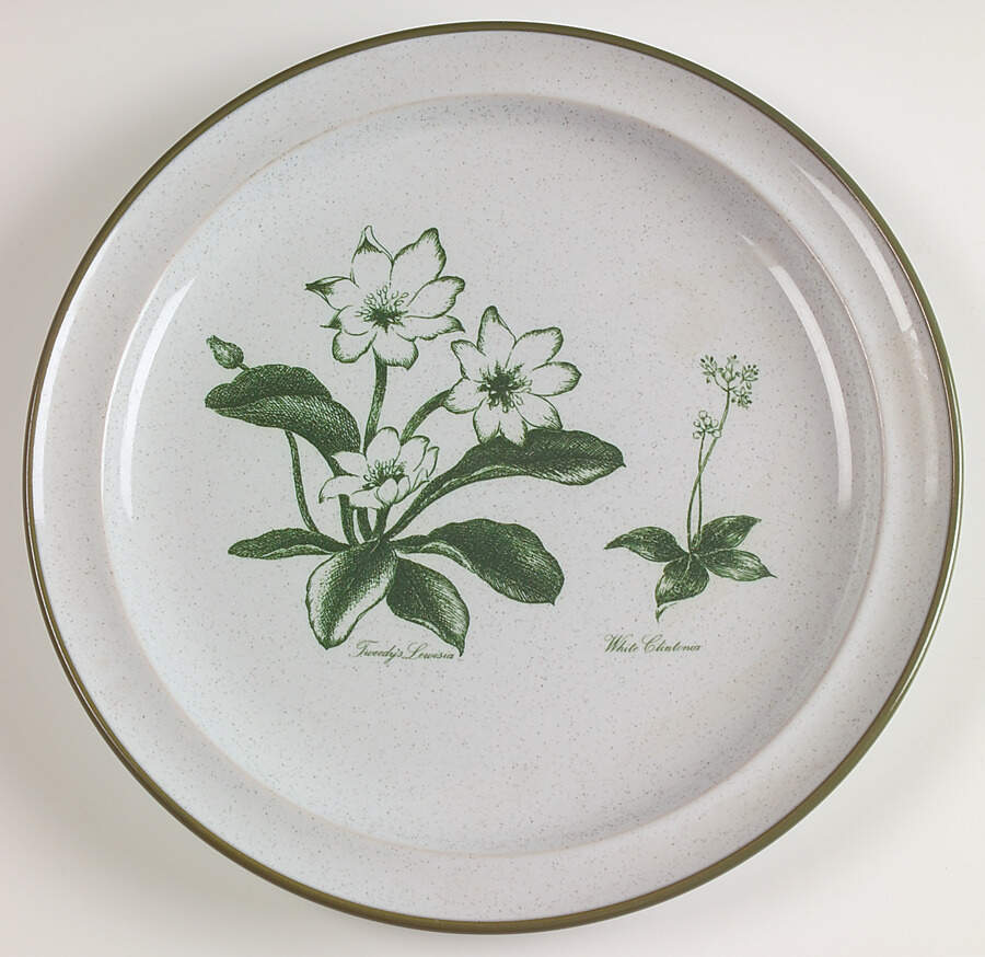 Mountain Flowers Green Luncheon Plate by Noritake-1