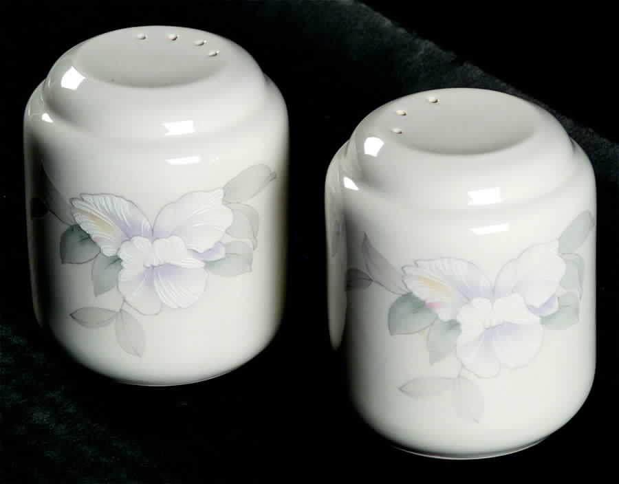Morning Melody Salt & Pepper Set by Noritake-1