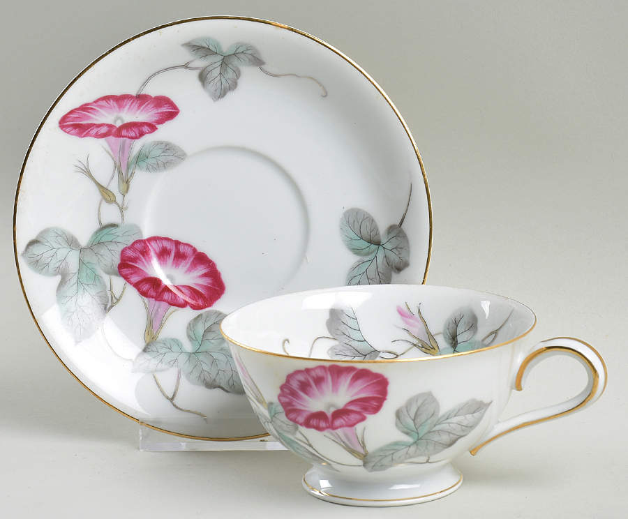 Morning Glory Footed Cup & Saucer Set by Noritake-1