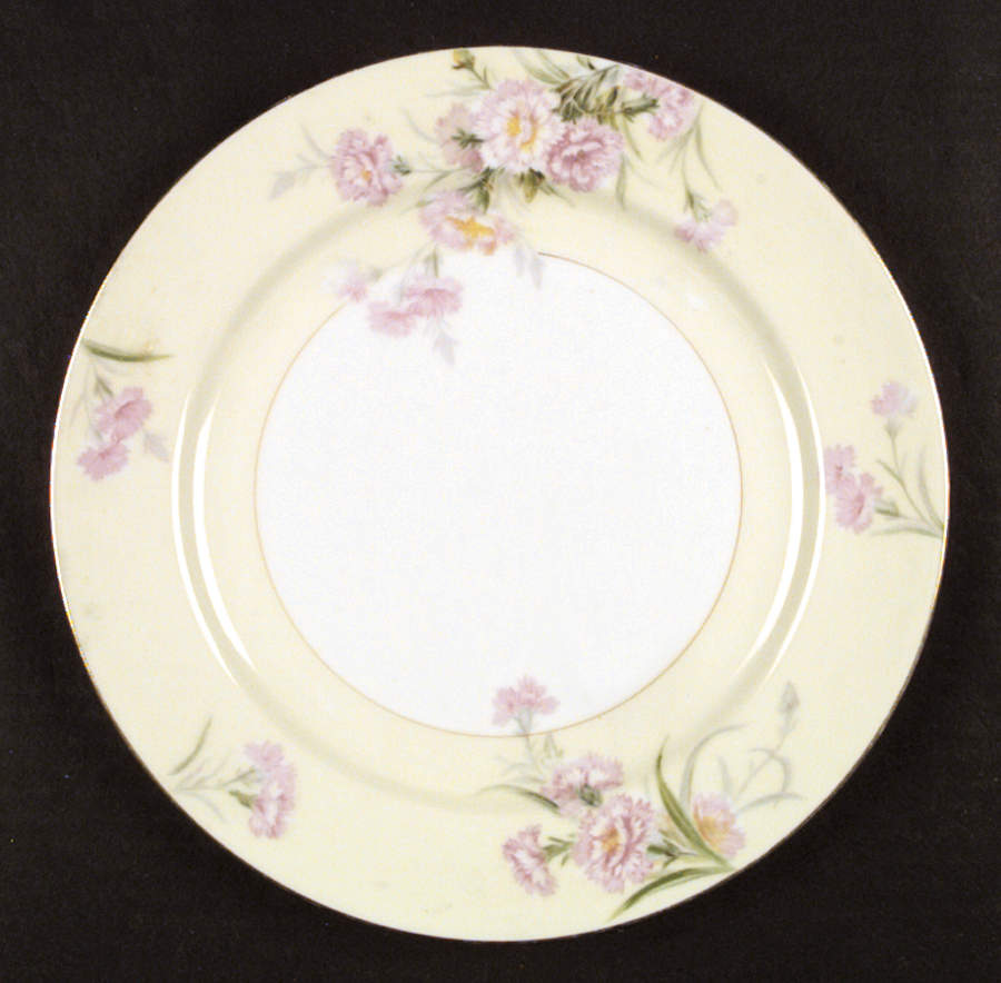 Mystery #1 Dinner Plate by Noritake-1