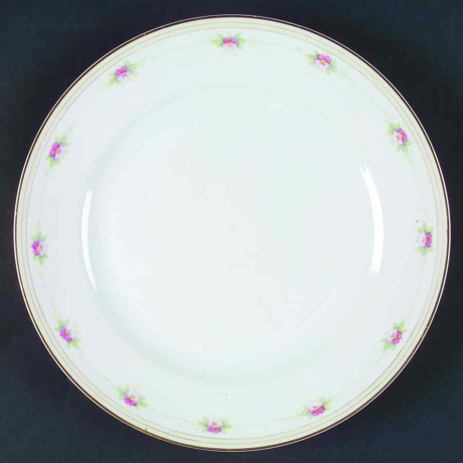 Mystery #107 Dinner Plate by Noritake-1