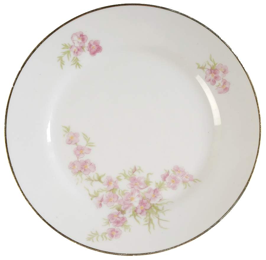Mystery #17 Bread & Butter Plate by Noritake-1
