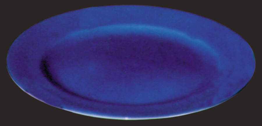 Mystery #170 Dinner Plate by Noritake-1