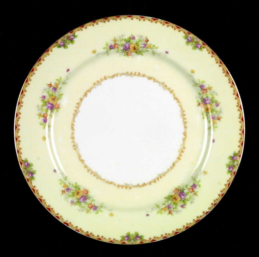 Mystery #193 Dinner Plate by Noritake-1