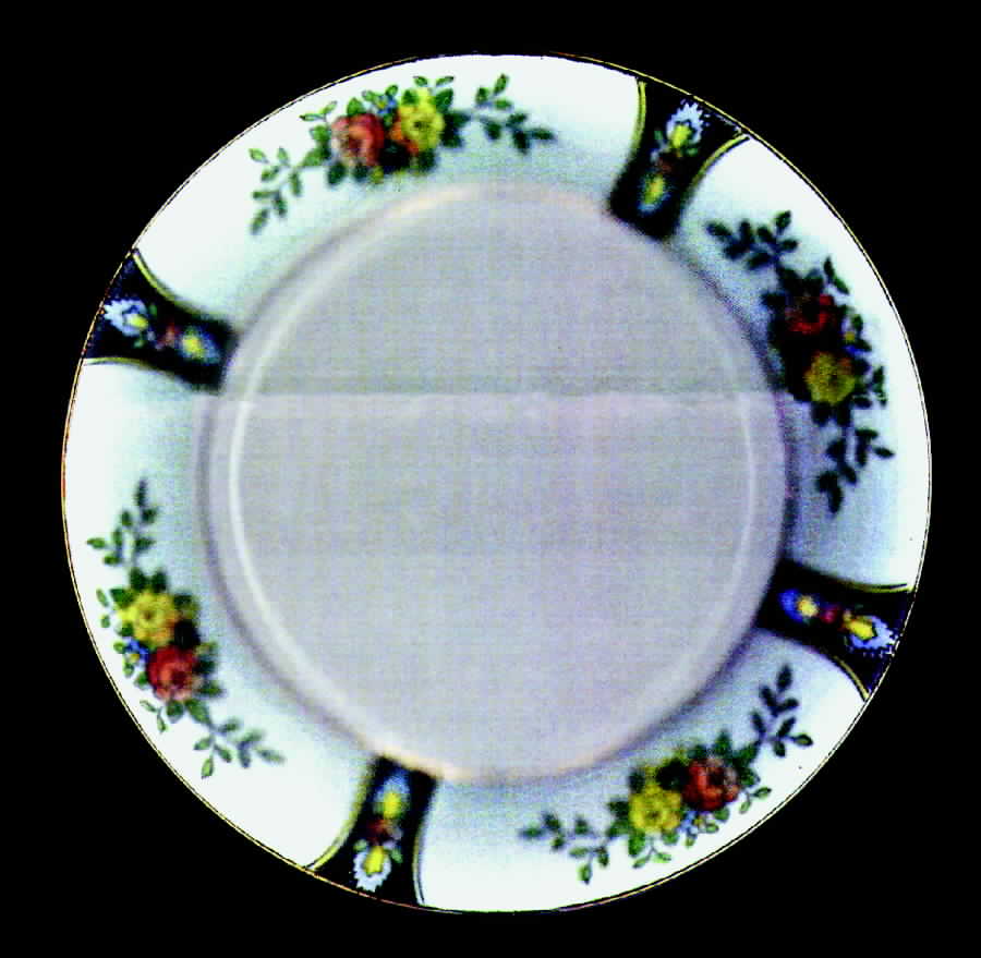 Mystery #9 Salad Plate by Noritake-1