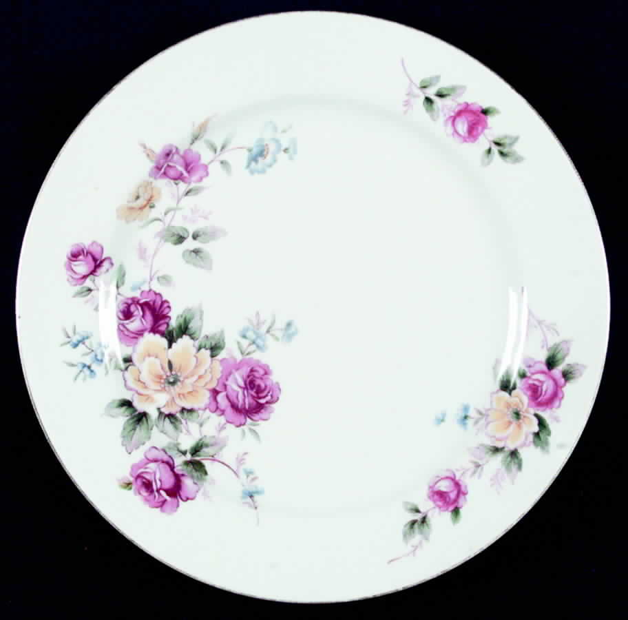 N141 Dinner Plate by Noritake-1