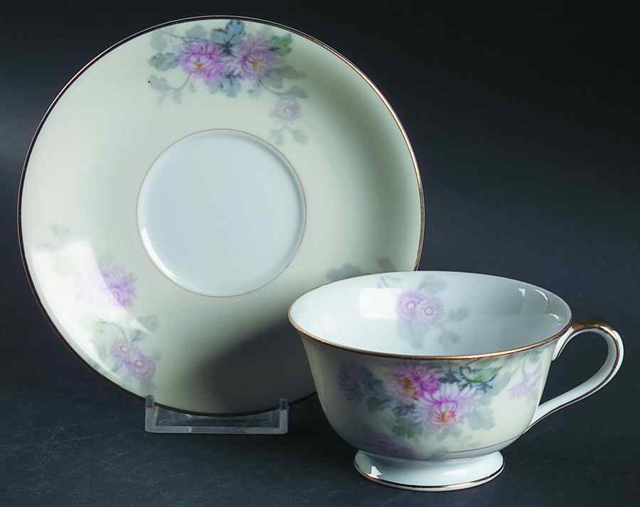 N143 Footed Cup & Saucer Set by Noritake-1