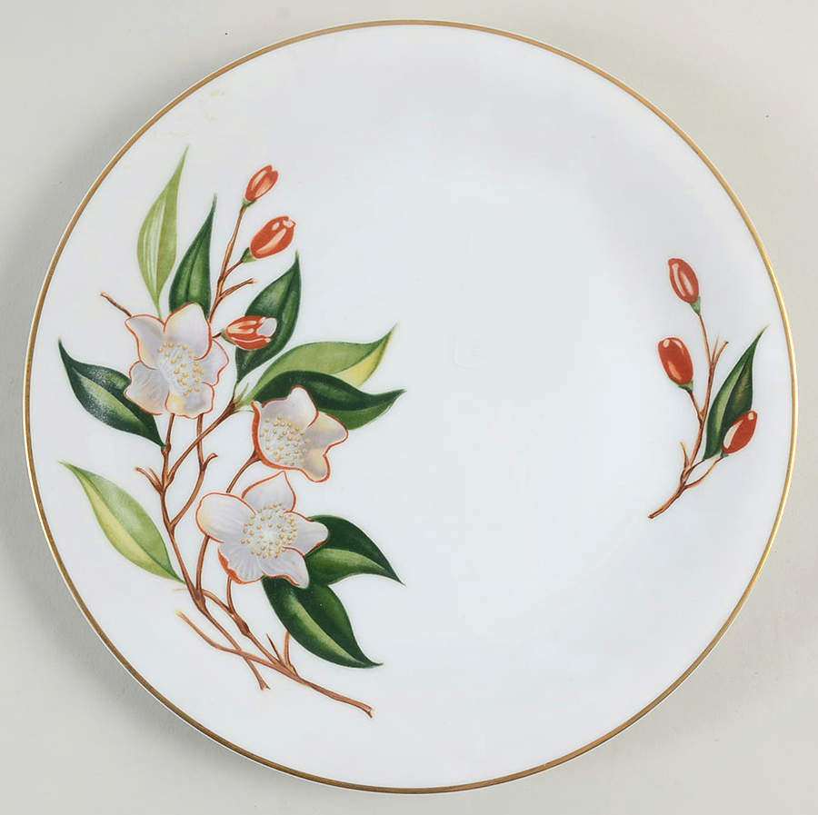 N144 Dinner Plate by Noritake-1