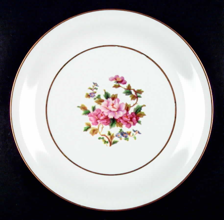 N159 Dinner Plate by Noritake-1
