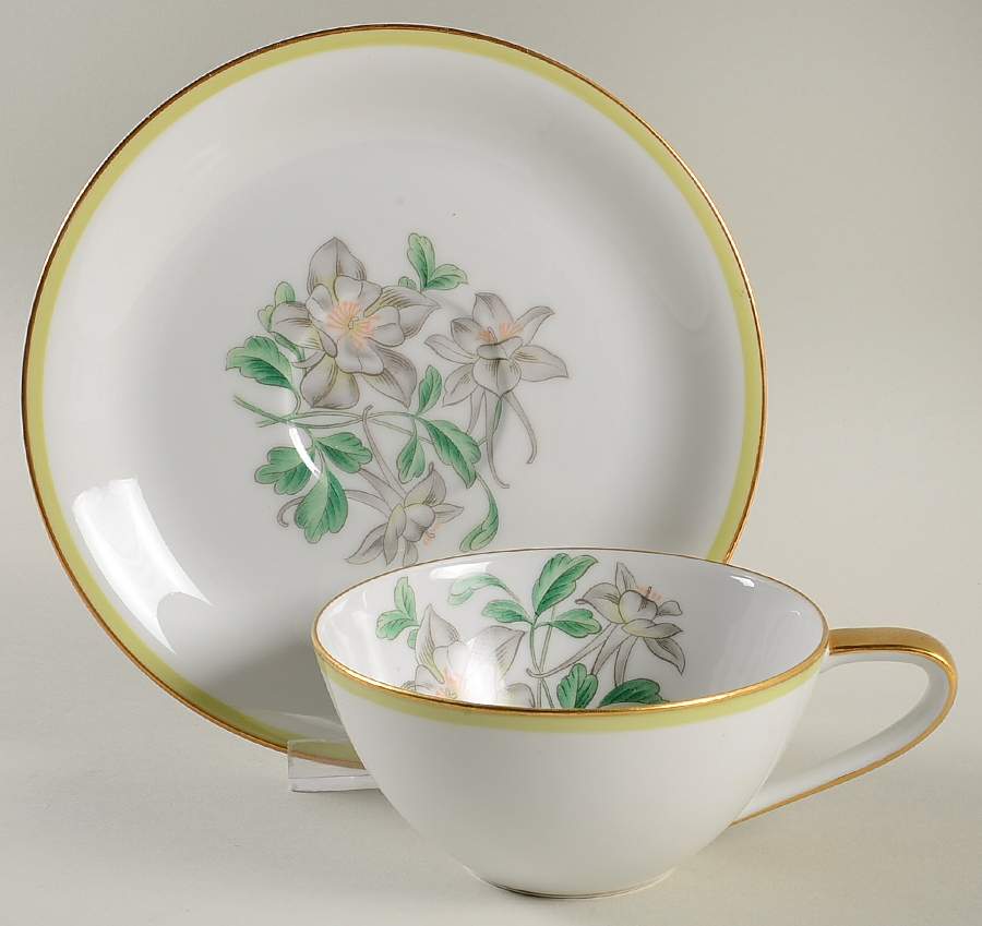N161 Flat Cup & Saucer Set by Noritake-1